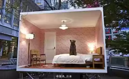 历年红白阵容(尤文图斯历年阵容一览)插图11
