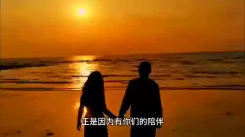 抖宝宝阵容(宝可梦t0阵容)