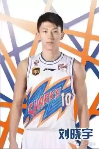 鲨鱼熊阵容(猎铳玩熊套好还是鲨鱼套好)插图8