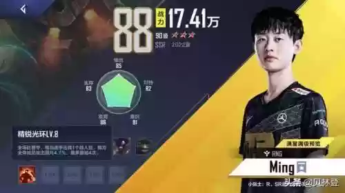 职业阵容界面(全职高手24职业技能表)插图11