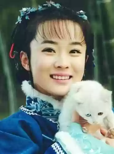 玫瑰江湖阵容(古今江湖豪侠阵容推荐)插图5