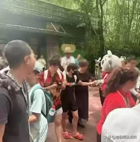 老板保镖阵容(极地拉面熊阵容)插图3