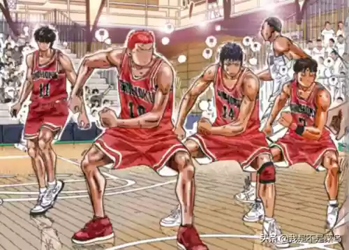 湘北公牛阵容(公牛王朝首发阵容)插图5