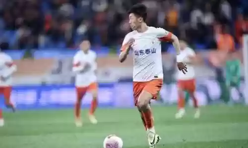 鲁能核心阵容(鲁能球员全部名单)插图4
