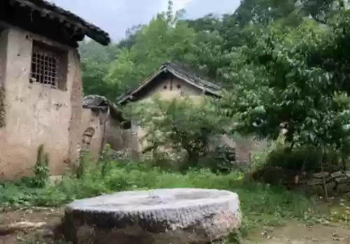 石器老鼠阵容(什么老鼠克制托普斯)插图3 石器老鼠阵容(什么老鼠克制托普斯)插图3