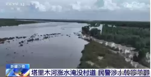 沙漠海洋阵容(海洋王国最强阵容搭配)插图3