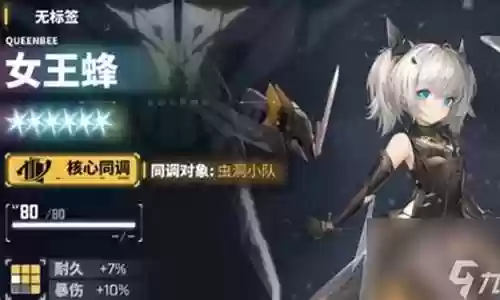蜂皇搭配阵容