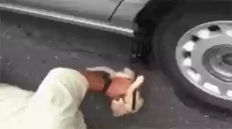 猫猫玄学阵容(猫之城t0阵容)插图33
