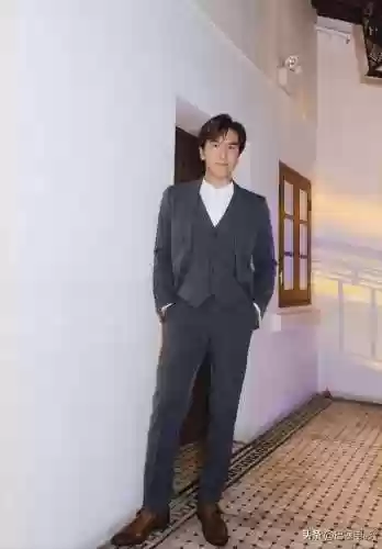 香港名星阵容(香港所有明星)插图9