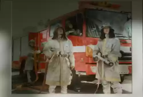 浅田家阵容(宝可梦t0阵容)插图22