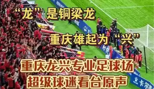 连败龙阵容(紫金版本人族打龙阵容)插图7
