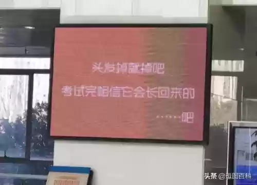 鲨骑马阵容(爆头骑t0最强阵容一览表)插图14