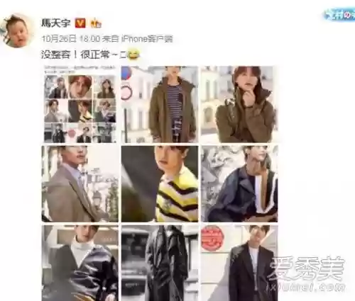 马天宇阵容(斗罗大陆阵容搭配)