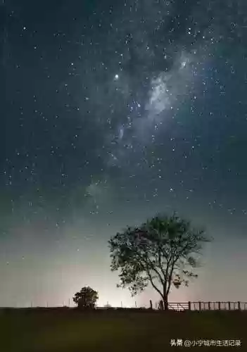 孤独记忆阵容(而记忆只属于孤独的荒岛)插图3