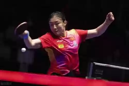 陪练阵容豪华(陪练车哪个平台比较好)插图3
