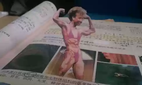 纵情劫阵容(永劫无间阵容推荐)插图3