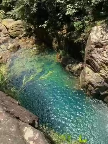 青衫染阵容(青鸾繁华录阵容)