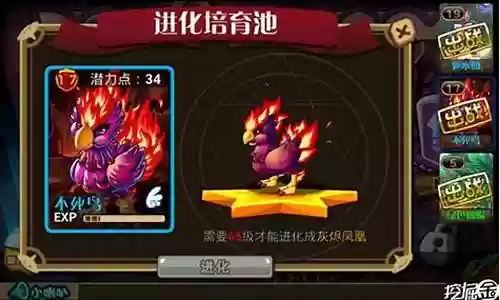 怪物联盟后期阵容搭配