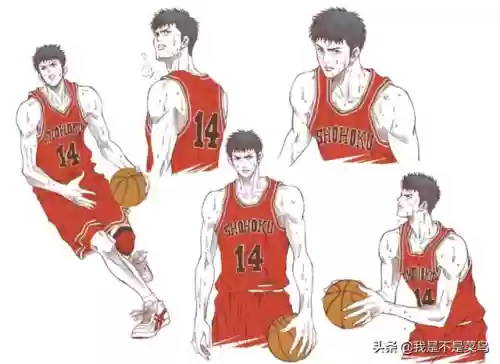 湘北公牛阵容(公牛王朝首发阵容)插图1