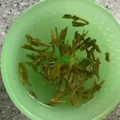 龙井虾仁阵容(海洋王国阵容搭配攻略)插图8