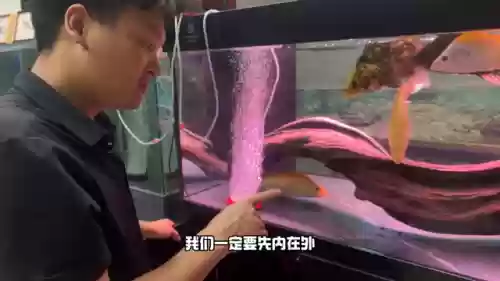 变异大眼阵容(风暴之眼最强阵容搭配)插图1
