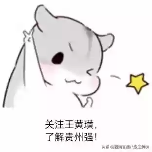 贵州毕节阵容(贵州毕节少数民族有哪些)插图4