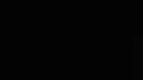 恶心阵容扁鹊(扁鹊出装最强输出)