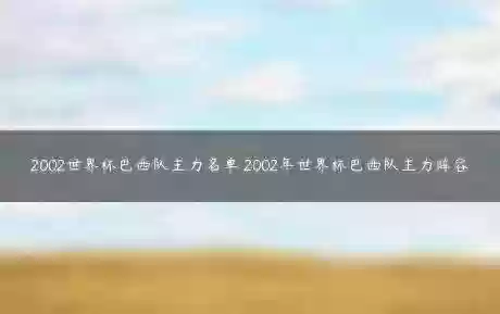 2002决赛阵容(西班牙国家队最新阵容)