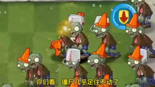 蜜蜂铃兰阵容(铃兰花和什么花搭配好看)插图2
