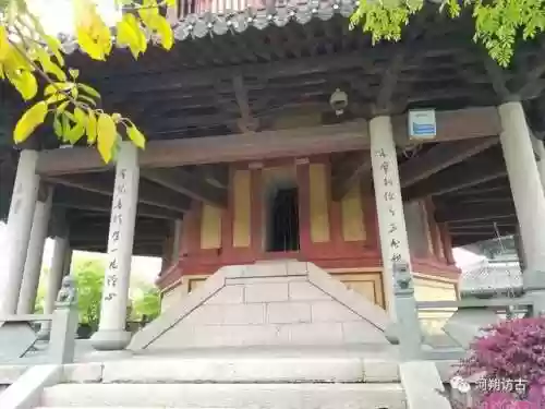 白象塔阵容(白板潜龙阵最强阵容)插图13
