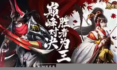 忍者荣耀阵容搭配