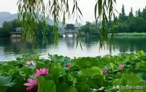 金陵刺客阵容(9刺客阵容)插图9
