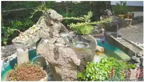 涂鸦乱石阵容(金铲铲之战元素游侠阵容搭配攻略)插图8