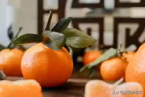 桔子摄影阵容(动物自走棋阵容推荐)插图3