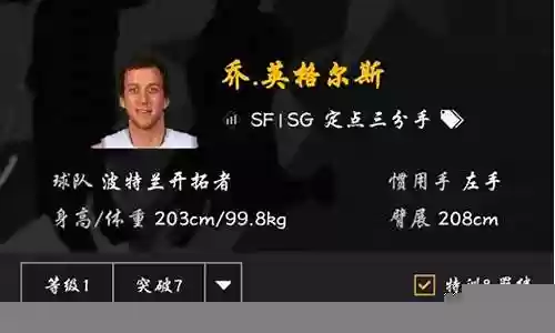 王朝平民最佳阵容搭配