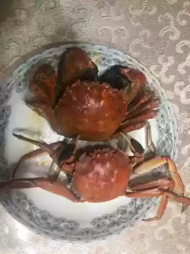 铁桶螃蟹阵容(土蜘蛛猛火阵容)插图21