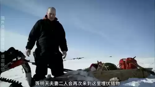 北极狩猎阵容(狩猎战麒麟高分阵容2023)插图6