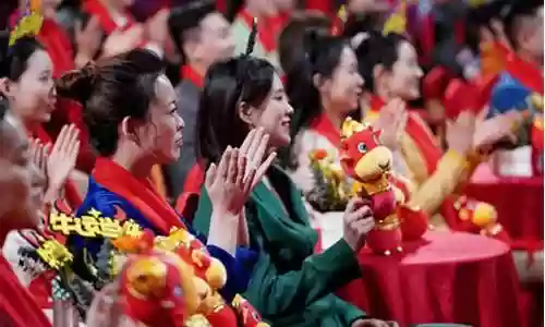 河南春晚晚会阵容搭配图片