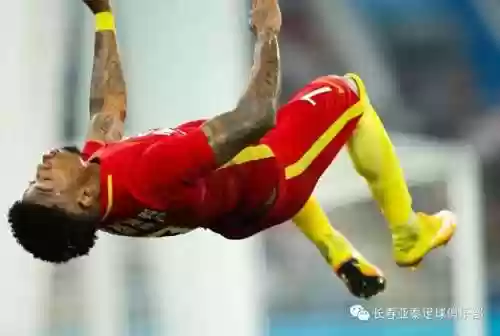 2012亚泰阵容(2015年恒大亚冠阵容)插图13