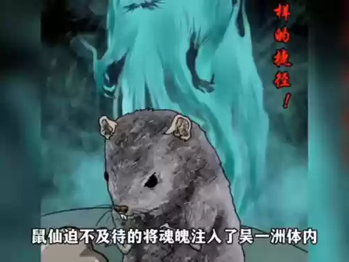 灵机娃娃阵容(境界灵压对决鬼道最强阵容)