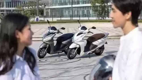 轻量化阵容(宝可梦t0阵容)插图21 轻量化阵容(宝可梦t0阵容)插图21