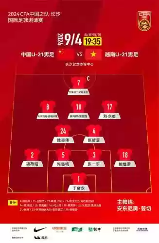 中国 越南阵容(越南怎么统一全国的)