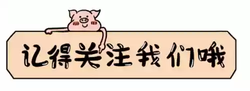 友情旅行阵容(八方旅人1最强四人组阵容)