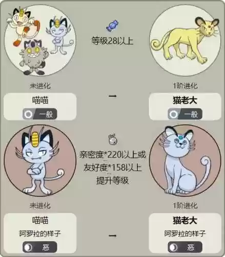 猫咪进化阵容(猫是由什么动物进化来的)