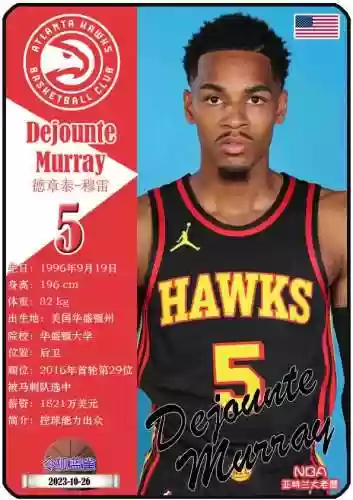 12老鹰阵容(12-13赛季灰熊阵容)插图5