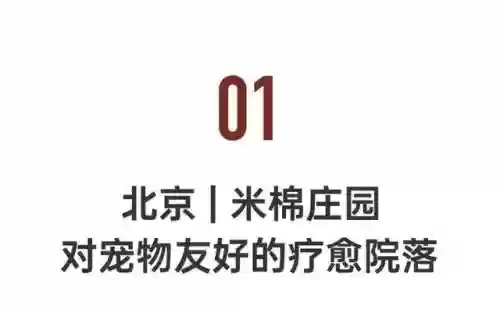 命名夜阑阵容(星陨之地阵容推荐)插图1
