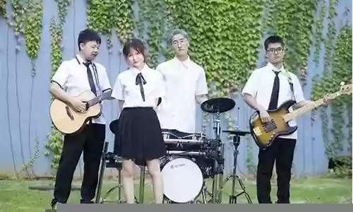 蓝光乐队马丹丹阵容搭配