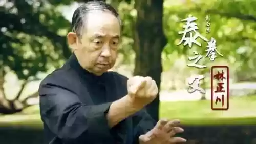 泰拳教练阵容(懂球帝教练ol最强阵容)插图1
