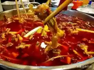 美人蛙阵容(宝可梦t0阵容)插图5