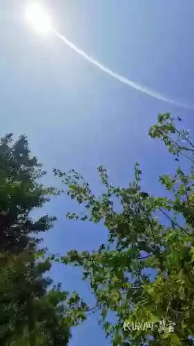 河北晴天阵容(kpl常用阵容搭配)